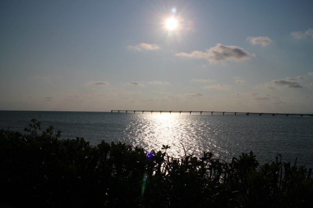 沖縄の海